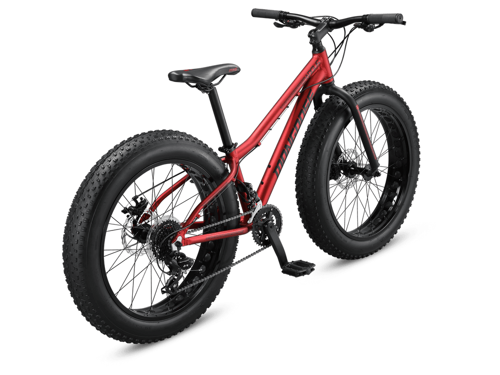 Mongoose Argus Trail 24-inch Kids Fat Tire Mountain Bike