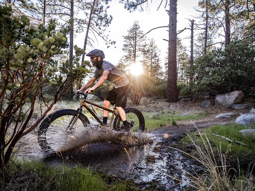Mongoose Argus ST 26-inch Fat Tire Mountain Bike