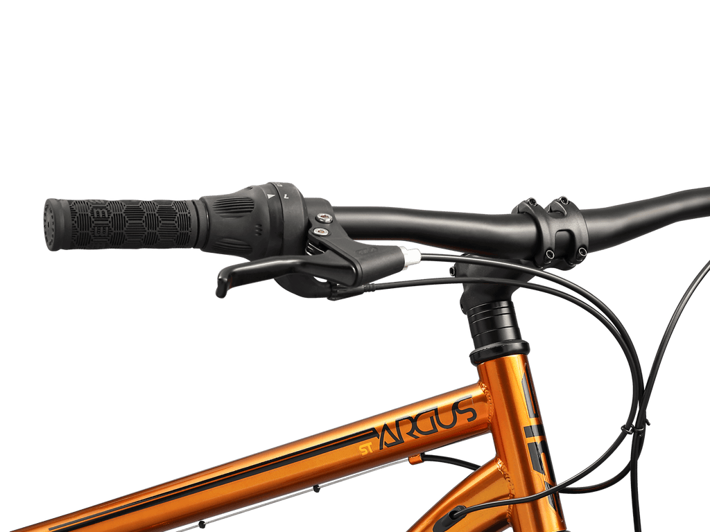 Mongoose Argus ST 26-inch Fat Tire Mountain Bike
